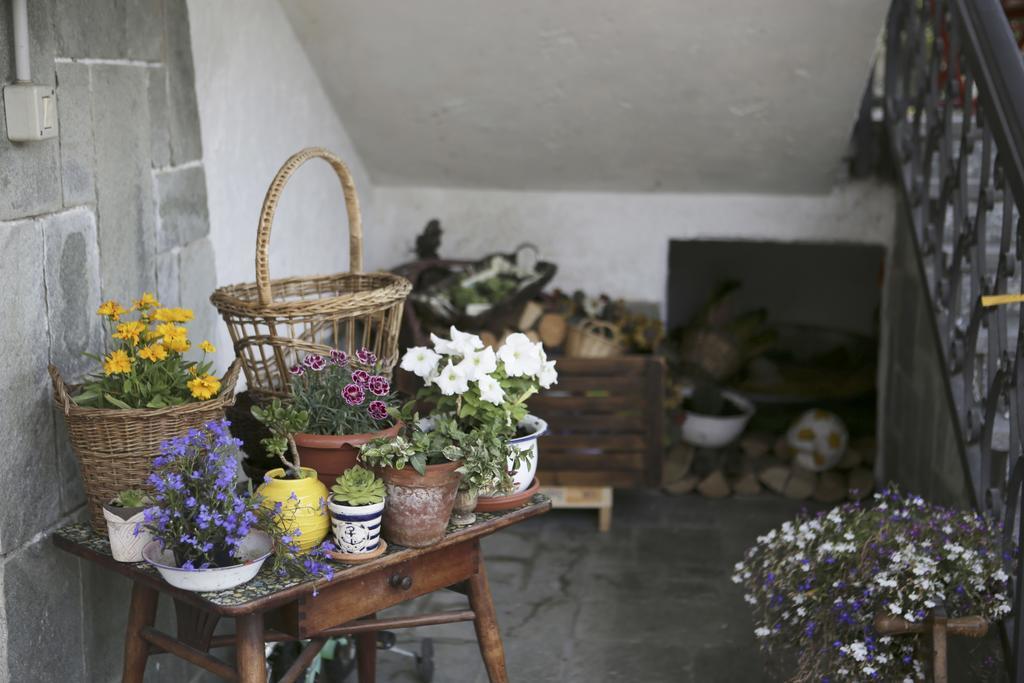 B&B La Gerbolina San Giusto Canavese Exteriör bild