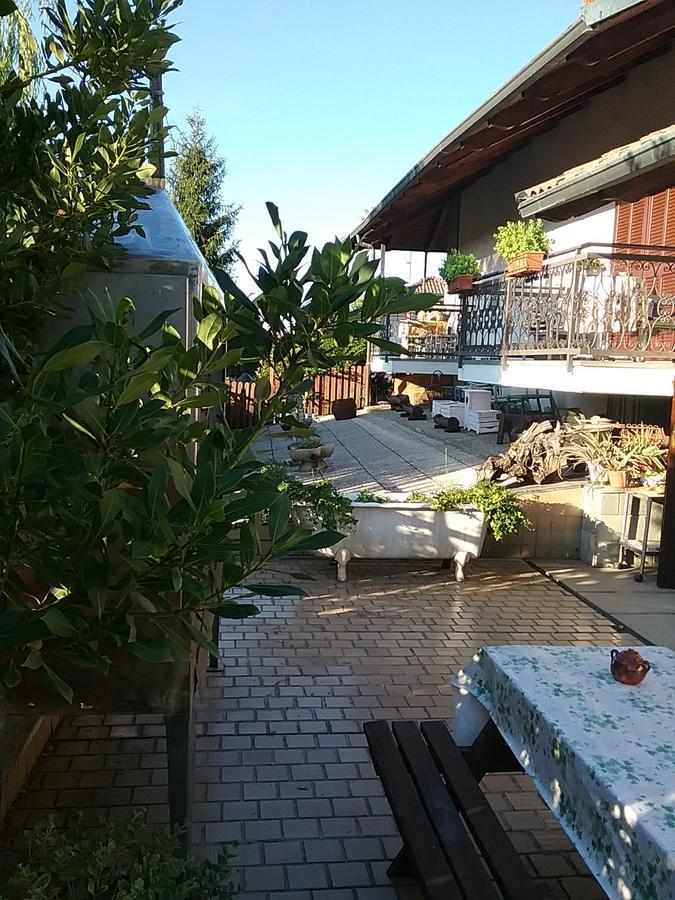 B&B La Gerbolina San Giusto Canavese Exteriör bild